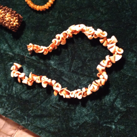 F-21 sea shell lot - Picture 6 of 7